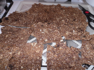 Raw onion bread cut into rectangles Raw onion bread cut into rectangles